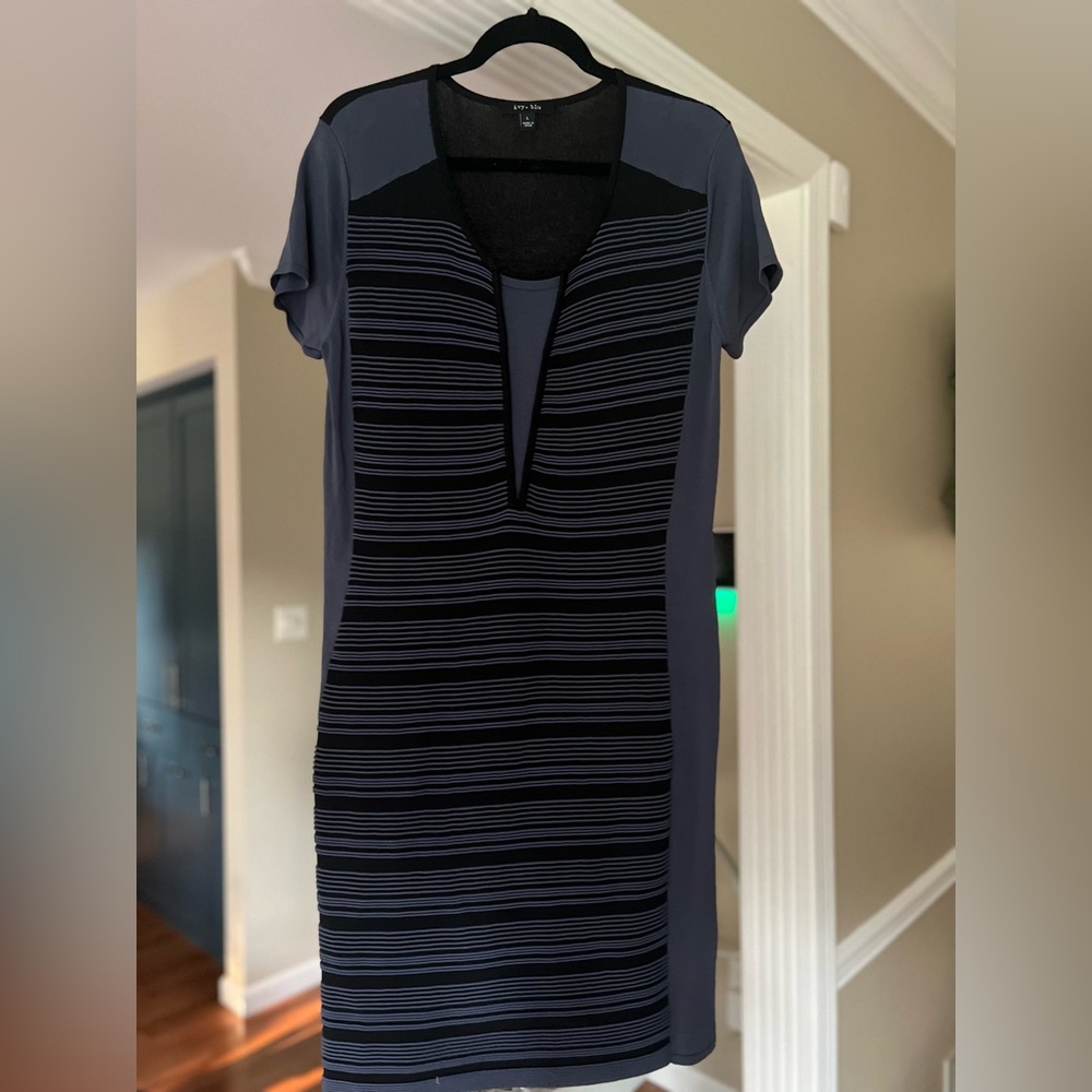 Ivy& blue brand dress: NWOT